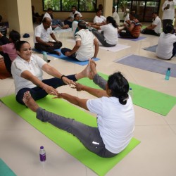 Yoga